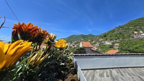 A garden with sunflowers and a view of a hillside town. - Bright and quiet apartment (Pianillo)