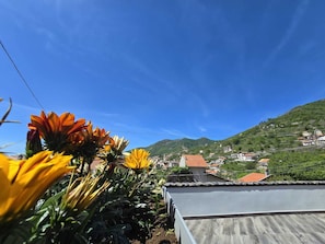 A garden with sunflowers and a view of a hillside town. - Bright and quiet apartment (Pianillo)