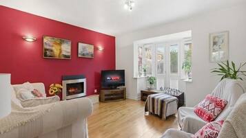 Smart TV, fireplace, books