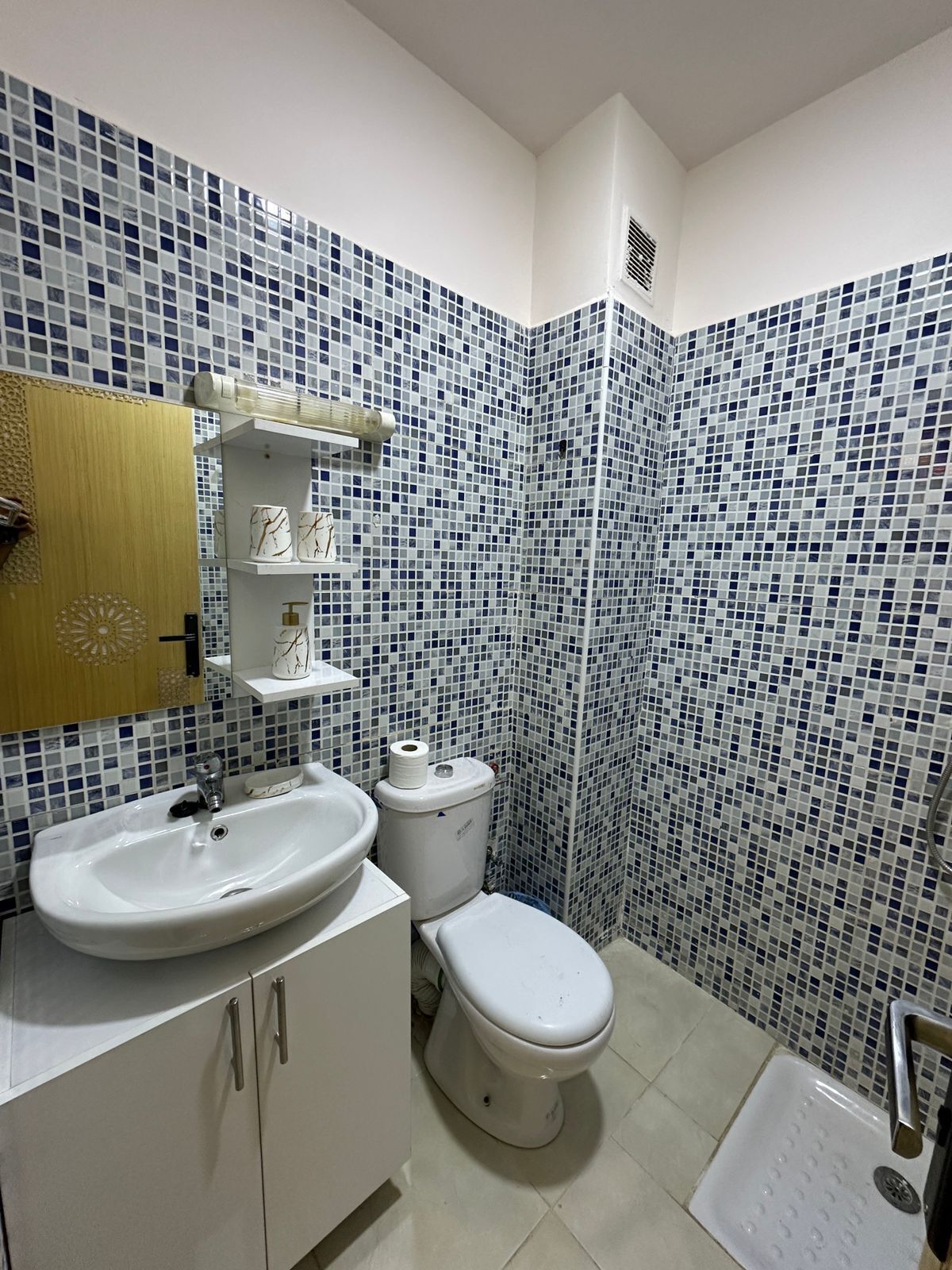 Hair dryer, towels, soap, toilet paper