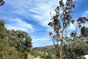 Paisaje rural con árboles, cielo despejado y un fondo montañoso.
