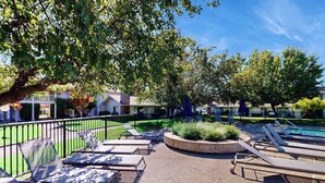 A poolside area with lounge chairs, a small pool, and a tree providing shade. - Napa 2BR Silverado condos — two kings, full kitchen, golf views (Napa)
