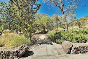 Un sendero de piedra que serpentea por un paisaje natural con árboles y arbustos.
