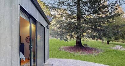 Sebastopol Forest Retreat with Creek Trail