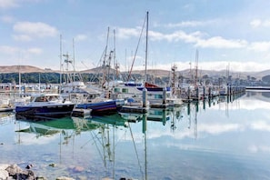 Un puerto deportivo con barcos amarrados, agua tranquila y colinas al fondo.