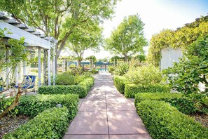 A pathway flanked by neatly trimmed hedges and trees, leading to a covered area with a pergola.
