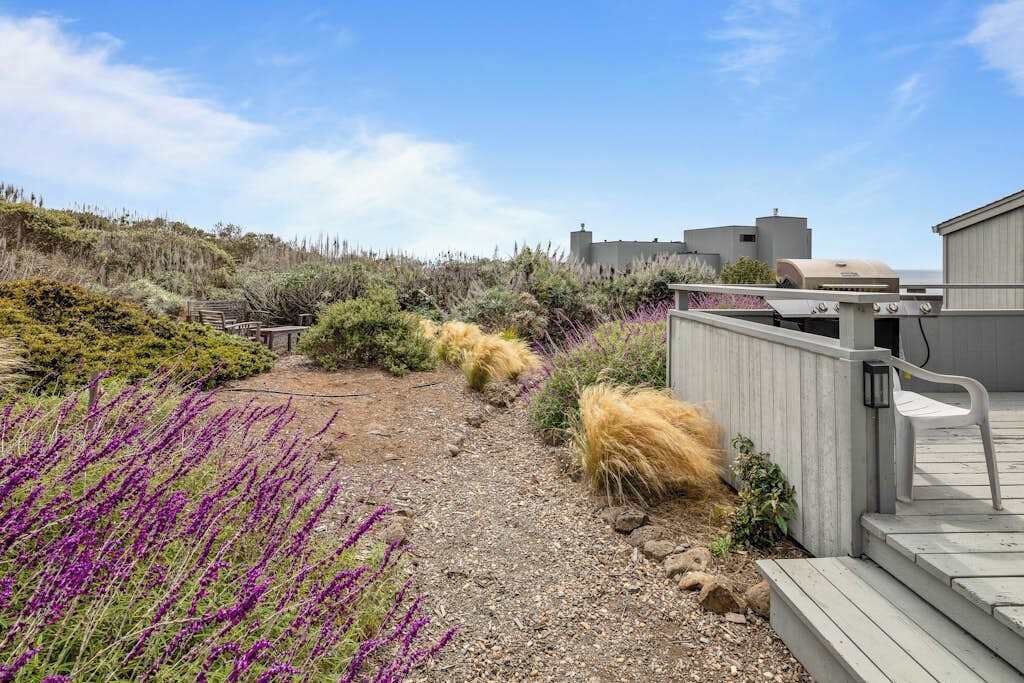 Un jardin sur le toit, avec un chemin de gravier, différents arbustes et des fleurs violettes.