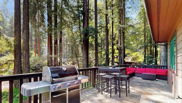 Eine Terrassengruppe im Freien mit Grill, Sitzgelegenheiten und Blick auf hohe Bäume.