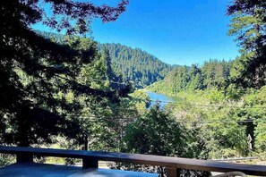 Property grounds - Monte Rio Dog-Friendly Riverfront Retreat and Hot Tub (Monte Rio)