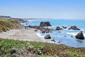 Beach nearby - Oceanfront Dog-Friendly Cottage, Bodega Bay (Bodega Bay)