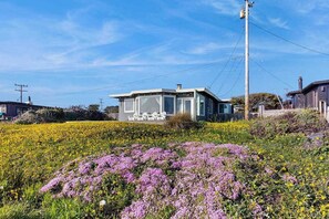 A modern house with a glass facade, surrounded by a field of yellow flowers and a small garden with purple flowers.