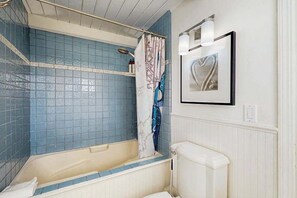 Shower, hair dryer, towels, shampoo - Oceanfront Dog-Friendly Cottage, Bodega Bay (Bodega Bay)