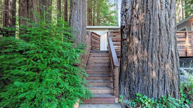 Eine Holztreppe führt zu einem Gebäude, das von hohen Bäumen umgeben ist.