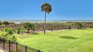 A grassy area with a palm tree, a fence, and a view of the ocean. - UNIQUE Oceanside Escape 19 (Cocoa Beach)