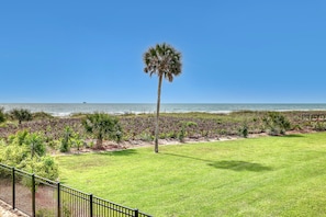 A grassy area with a palm tree, a fence, and a view of the ocean. - UNIQUE Oceanside Escape 19 (Cocoa Beach)