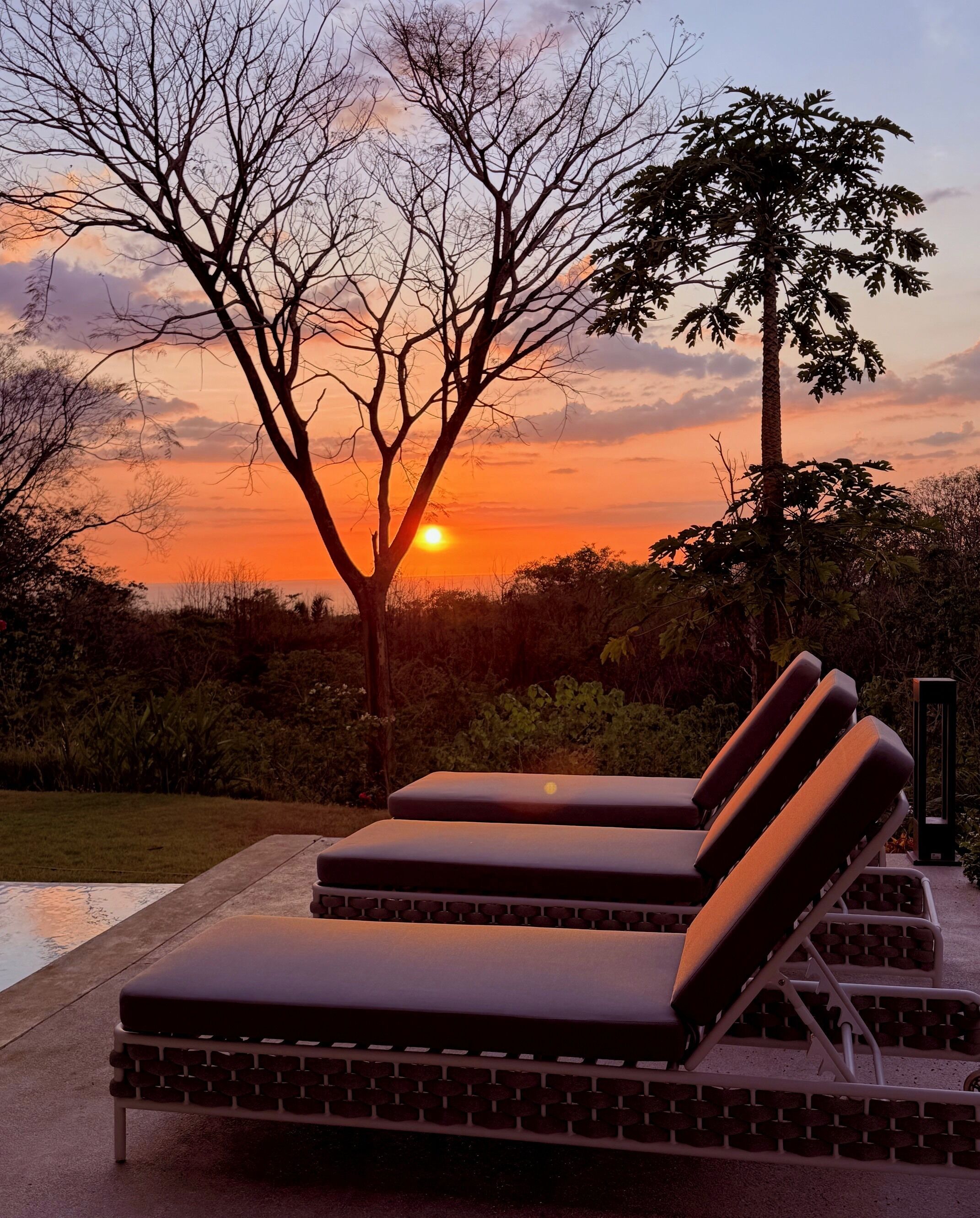 A sunset view with lounge chairs and a pool.