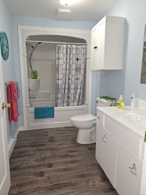 Shower, hair dryer, towels, soap