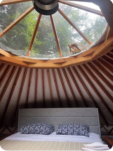 Cozy yurt in the forest-Pet-Friendly. Private In-Town Convenience