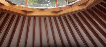Cozy yurt in the forest-Pet-Friendly. Private In-Town Convenience