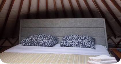 Cozy yurt in the forest-Pet-Friendly. Private In-Town Convenience