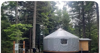 Cozy yurt in the forest-Pet-Friendly. Private In-Town Convenience