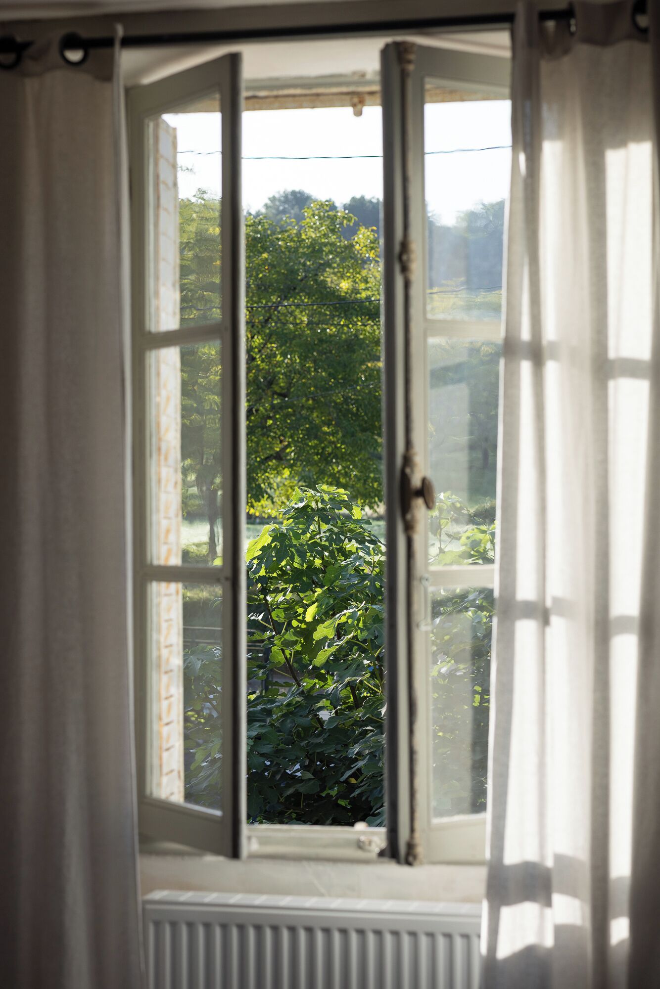 Ein Fenster mit Blick auf grüne Landschaft.