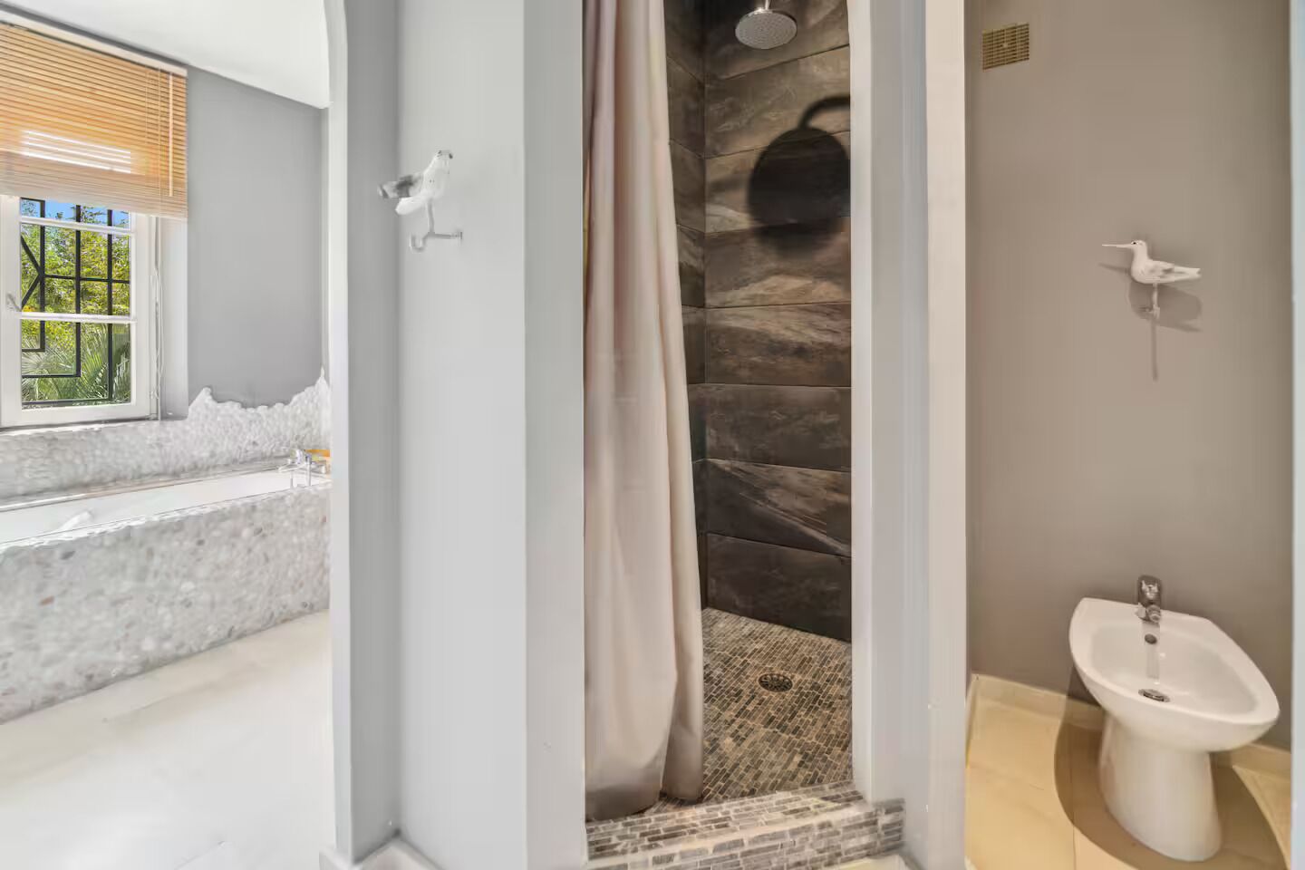 Shower, hair dryer, bidet, towels