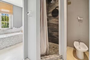 Shower, hair dryer, bidet, towels