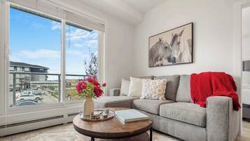 TV, fireplace, offices