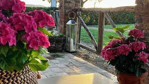Een overdekt buitengebied met een tafel, plantenpotten en een lantaarn.