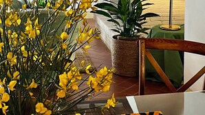 Een gezellige woonkamer met een houten plafond, een groene bank, een bijzettafeltje, een potplant en een lamp.