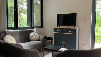 Televisie, een open haard, een tafeltennistafel en boeken