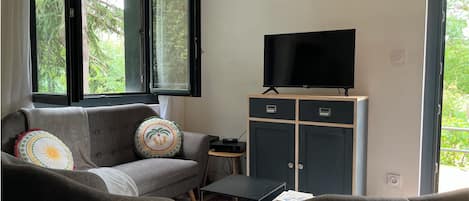 Televisión, chimenea, tenis de mesa y libros