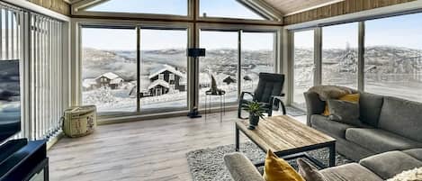 Smart TV, fireplace, books, stereo