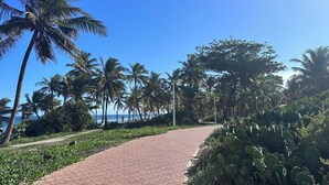 Un sendero pavimentado bordeado de palmeras y cactus que lleva a una playa.