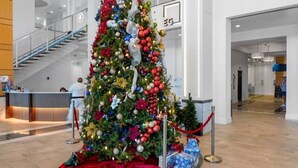 Et stort juletræ indendørs med en rød og hvid guirlande, omgivet af en rød snorbarriere.