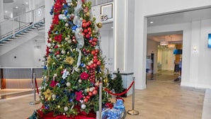 Un gran árbol navideño decorado con adornos y luces, rodeado por una alfombra roja y una barandilla de cristal.
