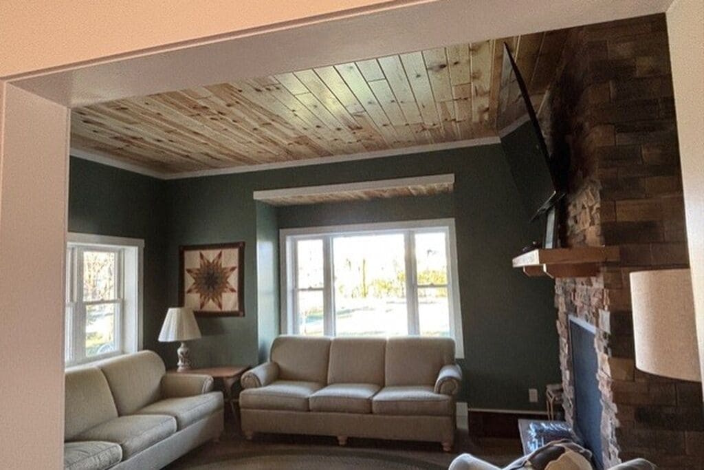 Smart TV, fireplace, books