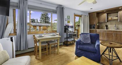 Charming Studio with Mtn.Views,Walk to Dwntwn
