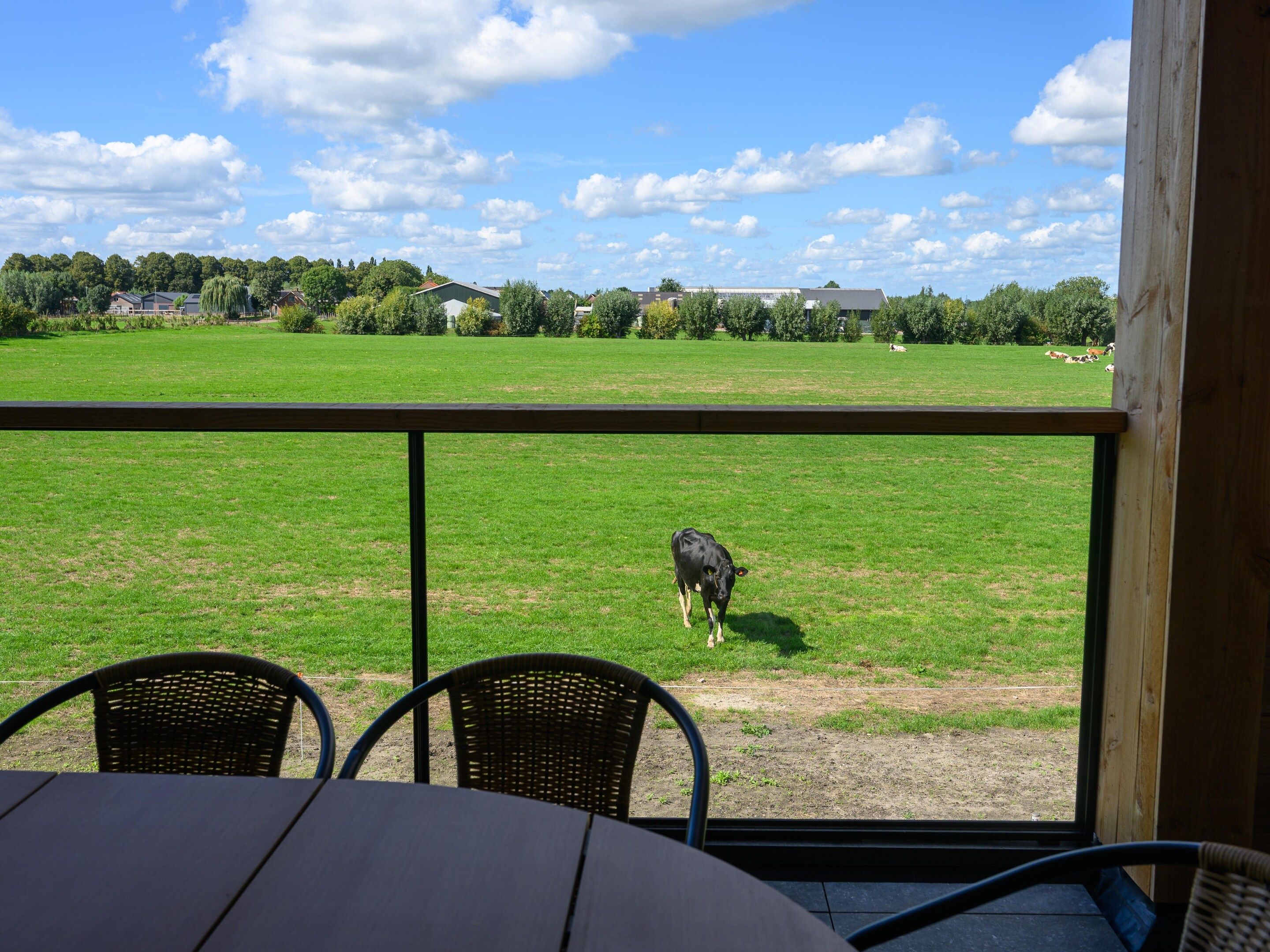 Vista desde un balcón con mesa y sillas, con vista a un campo verde con vacas.