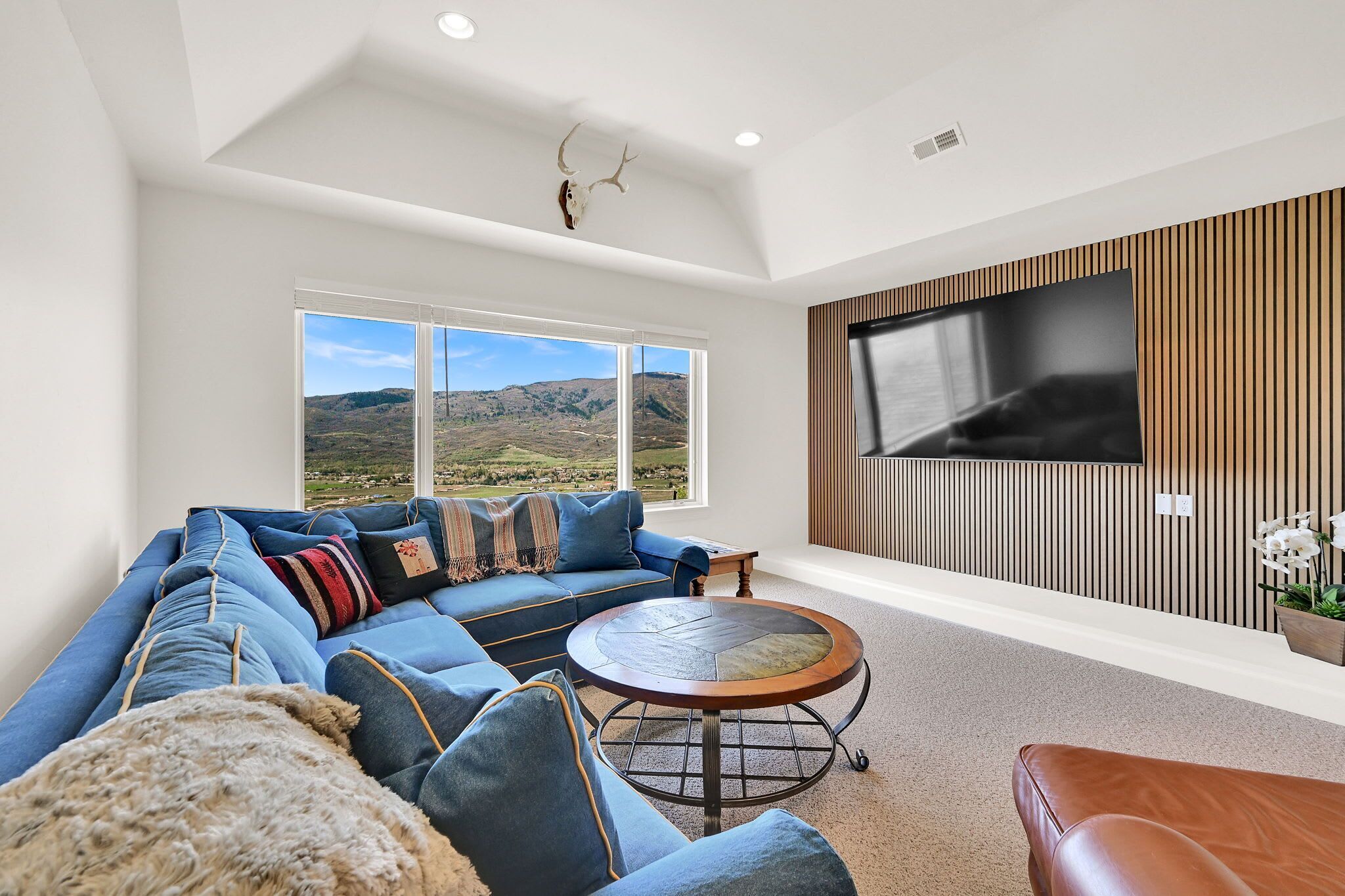 TV, fireplace, stereo, offices