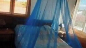 A bedroom with a bed under a blue canopy, a window, and a nightstand.
