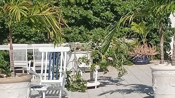 A swimming pool with a tiled edge, surrounded by potted plants and white outdoor furniture.