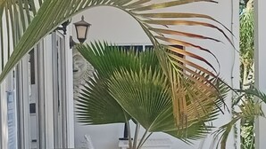 A white chair, a small table, a potted plant, and a wall-mounted lamp.