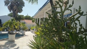 A pool area with potted plants, a palm tree, and a building with a tiled roof.
