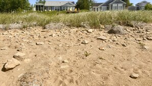 A residential area with houses, a sandy foreground, and sparse vegetation. - Coastal Lines Retreat Ocean Views Sleeps 9 (Cocagne)