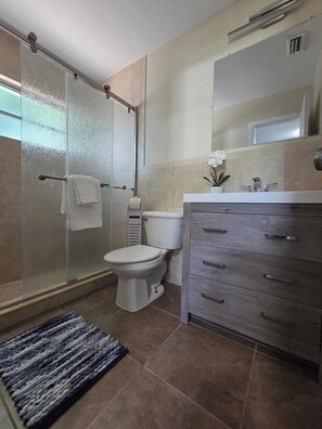 A bathroom with a glass shower enclosure, a toilet, a sink with a mirror above, and a wooden cabinet with drawers. - Cozy and convenient 2-bedroom house with pool in serene Lehigh Acres (Lehigh Acres)