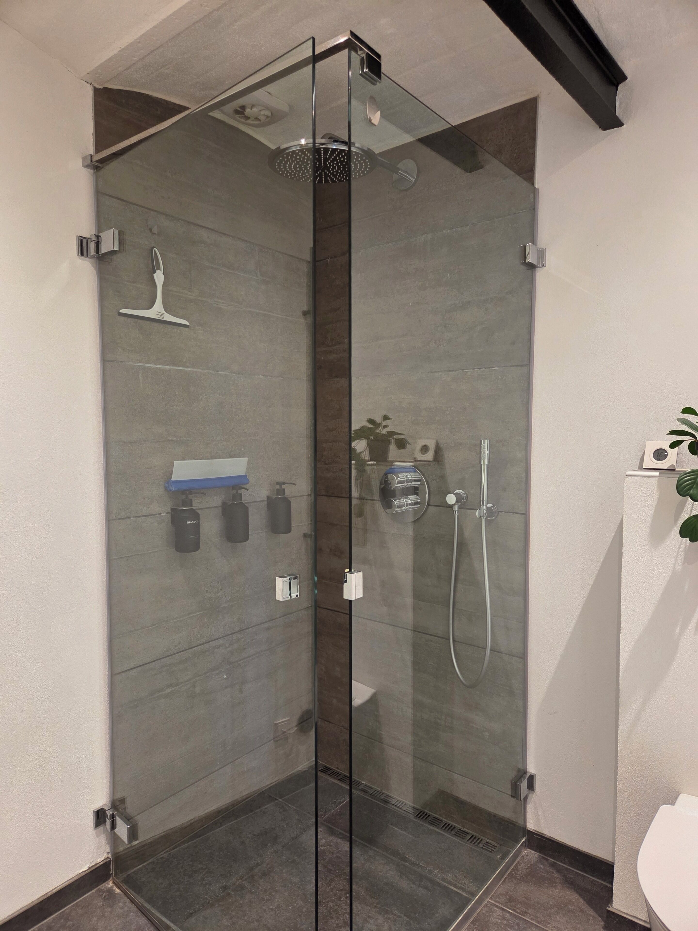 Shower, towels, soap, toilet paper