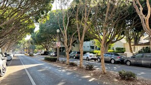 Una calle arbolada con coches aparcados y edificios residenciales.