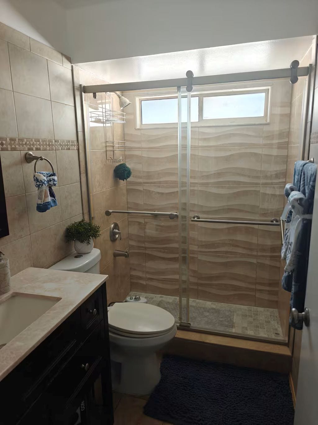 Hair dryer, towels, soap, toilet paper